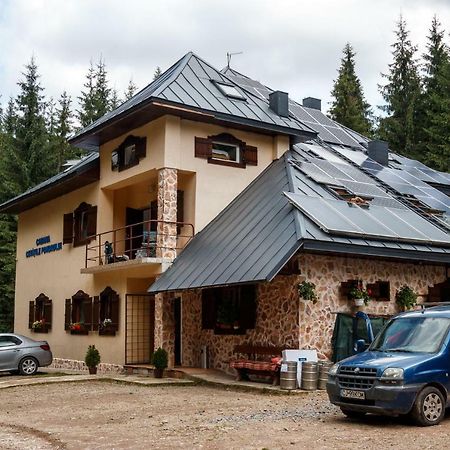 Pension Cabana Cetatile Ponorului Padis Bagian luar foto
