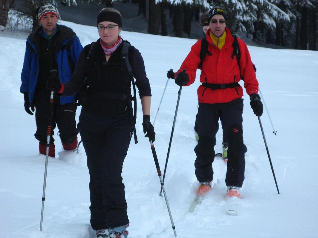 Pension Cabana Cetatile Ponorului Padis Bagian luar foto