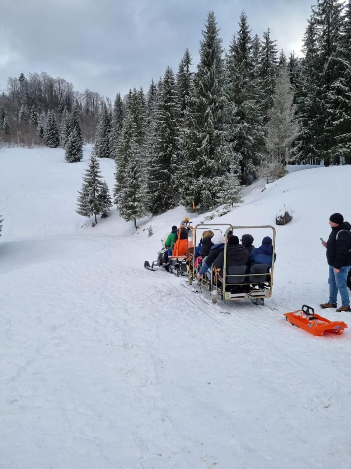Pension Cabana Cetatile Ponorului Padis Bagian luar foto