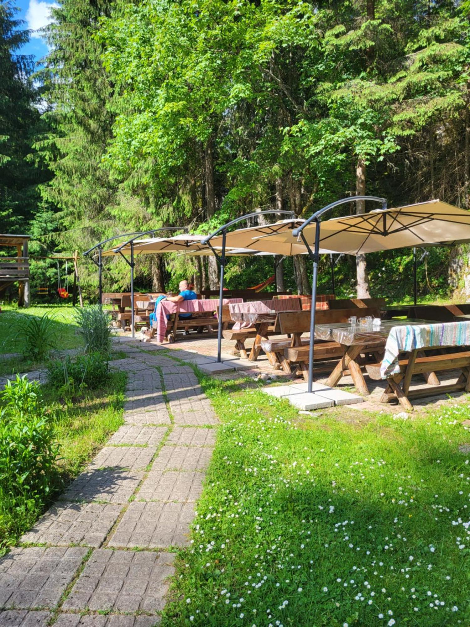 Pension Cabana Cetatile Ponorului Padis Bagian luar foto