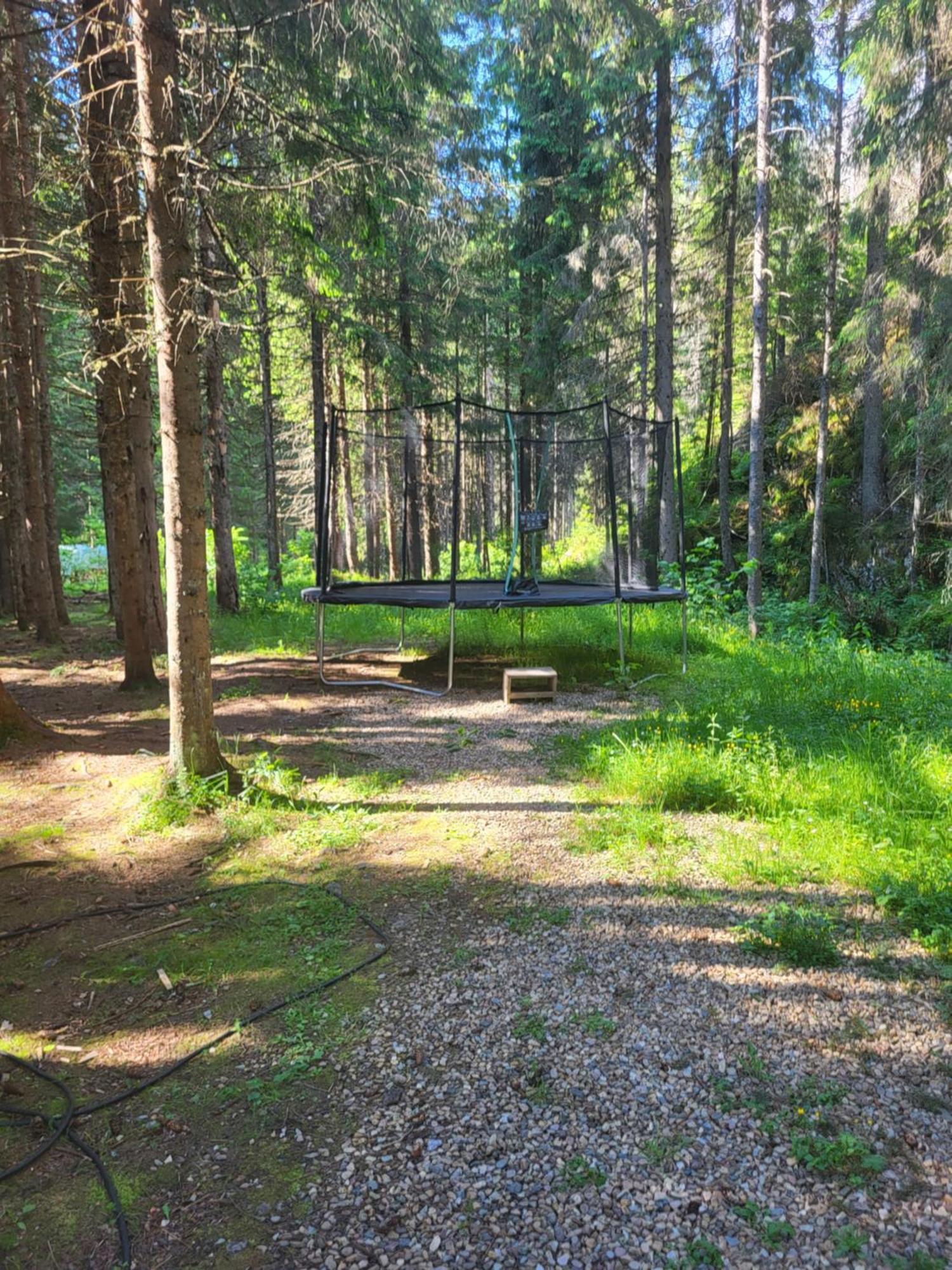 Pension Cabana Cetatile Ponorului Padis Bagian luar foto