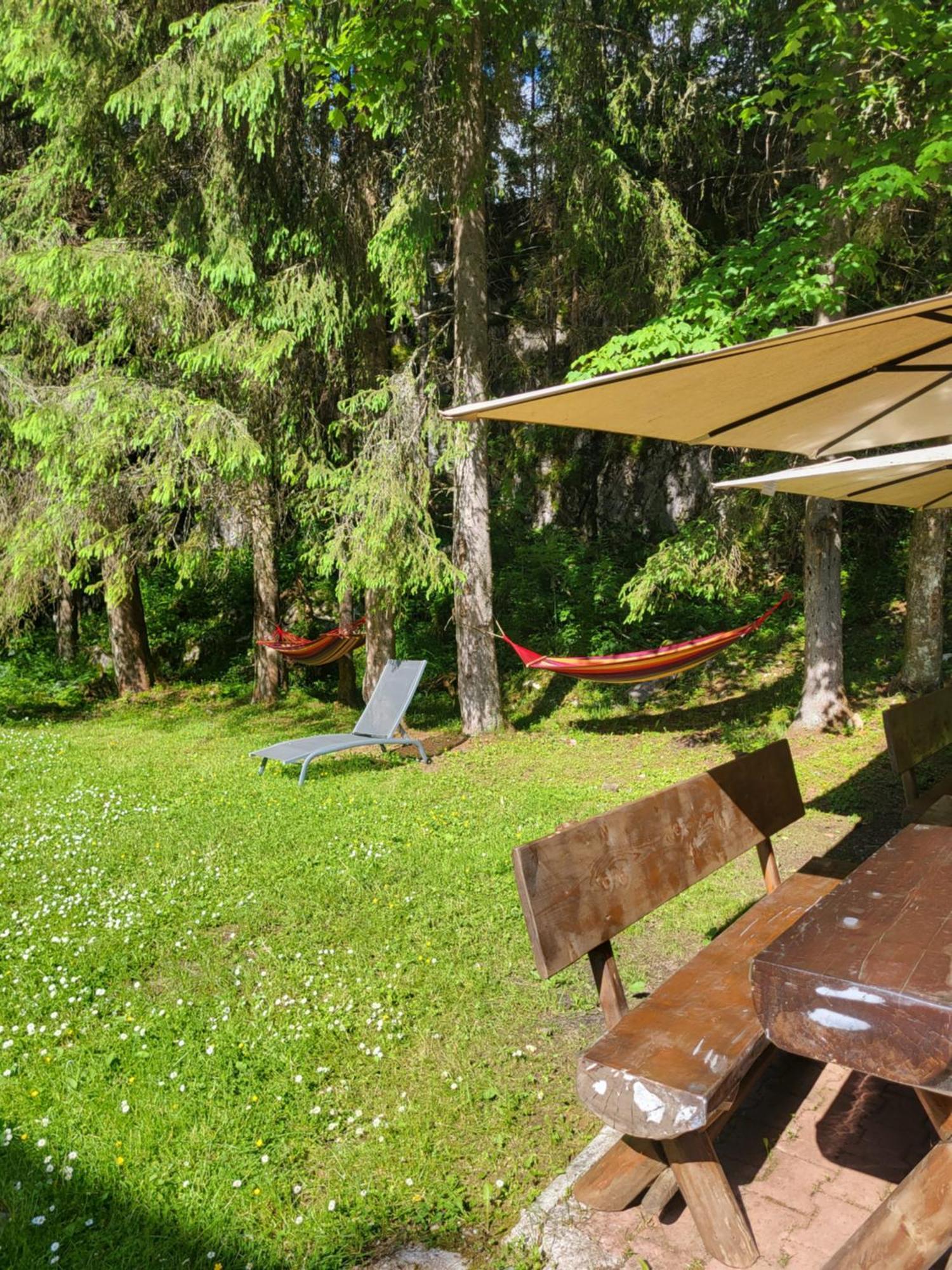 Pension Cabana Cetatile Ponorului Padis Bagian luar foto
