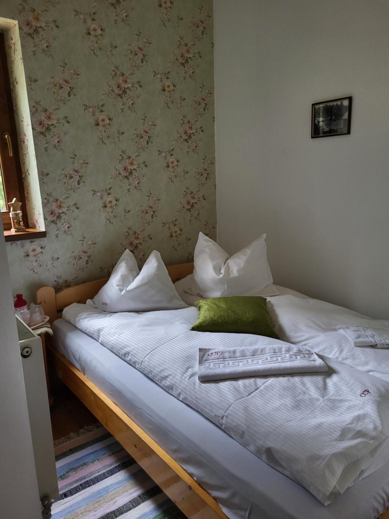 Pension Cabana Cetatile Ponorului Padis Bagian luar foto