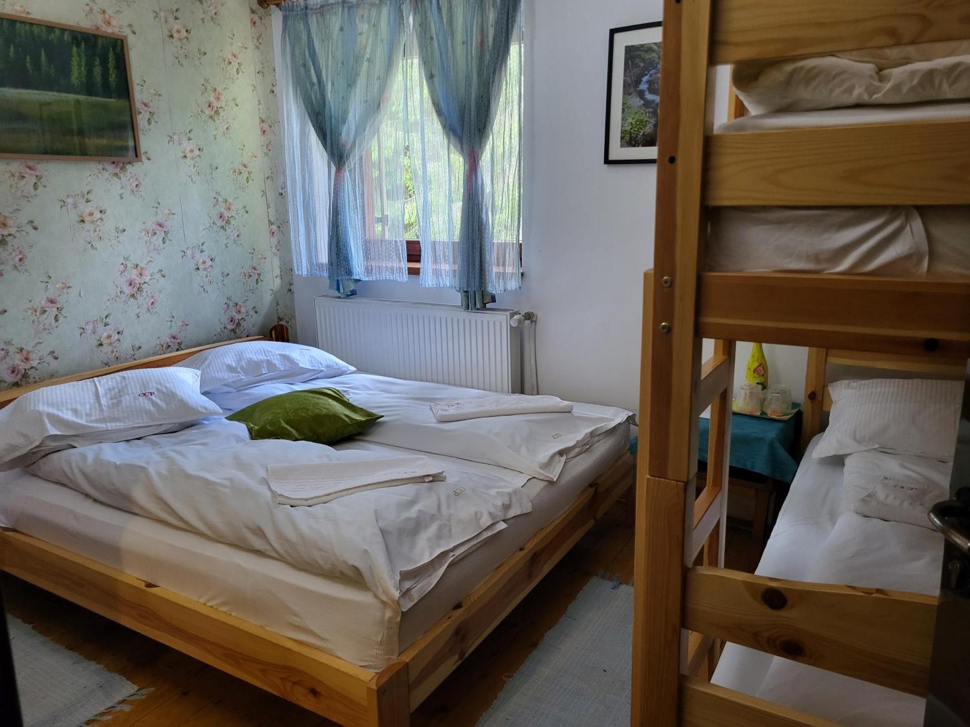 Pension Cabana Cetatile Ponorului Padis Bagian luar foto