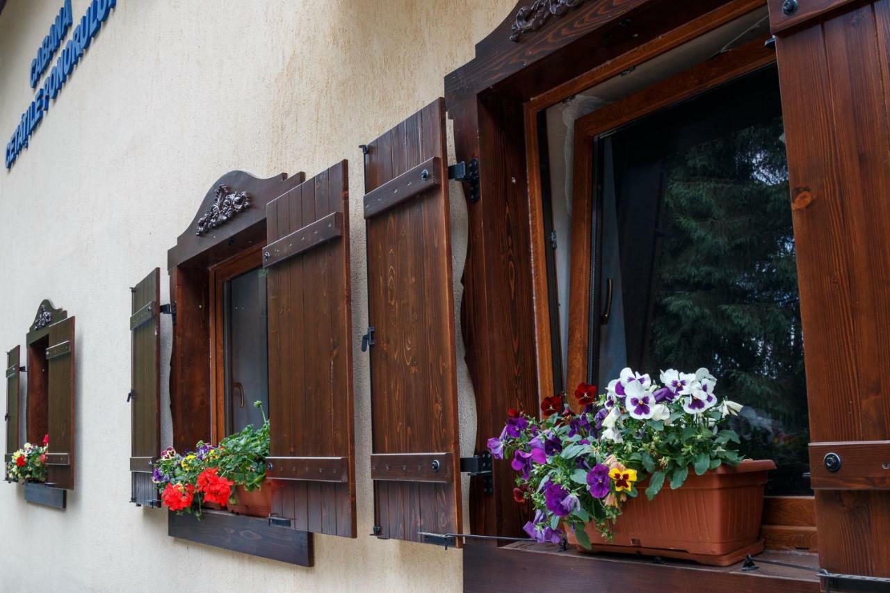 Pension Cabana Cetatile Ponorului Padis Bagian luar foto